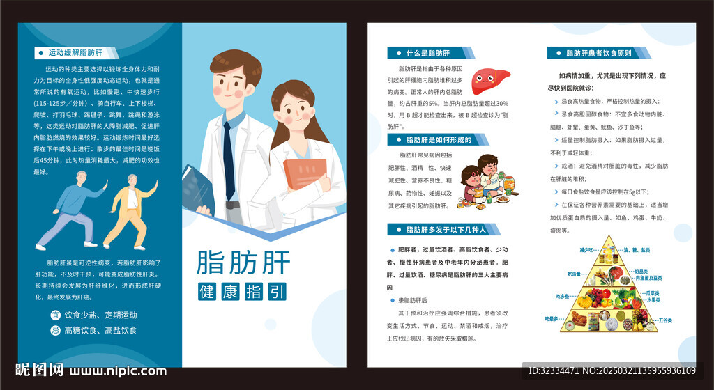 脂肪肝折页