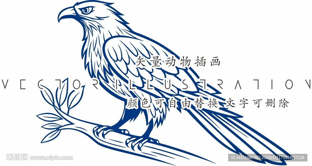 雄鹰