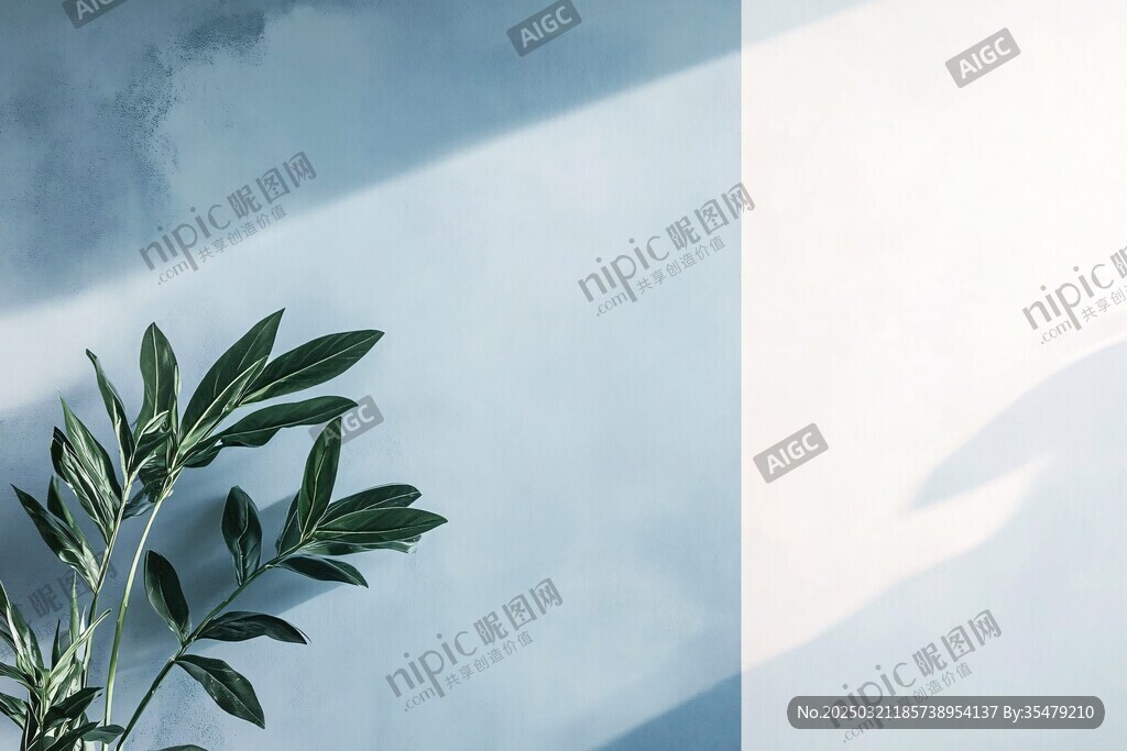 植物与墙的和谐共生