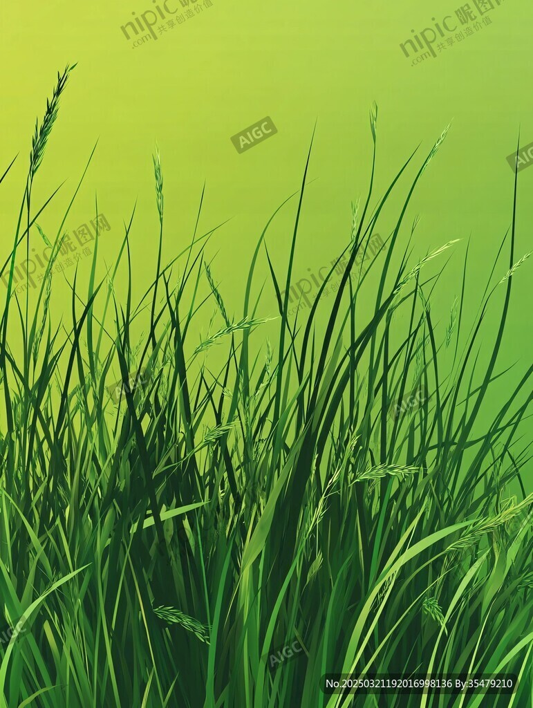 绿色草地背景