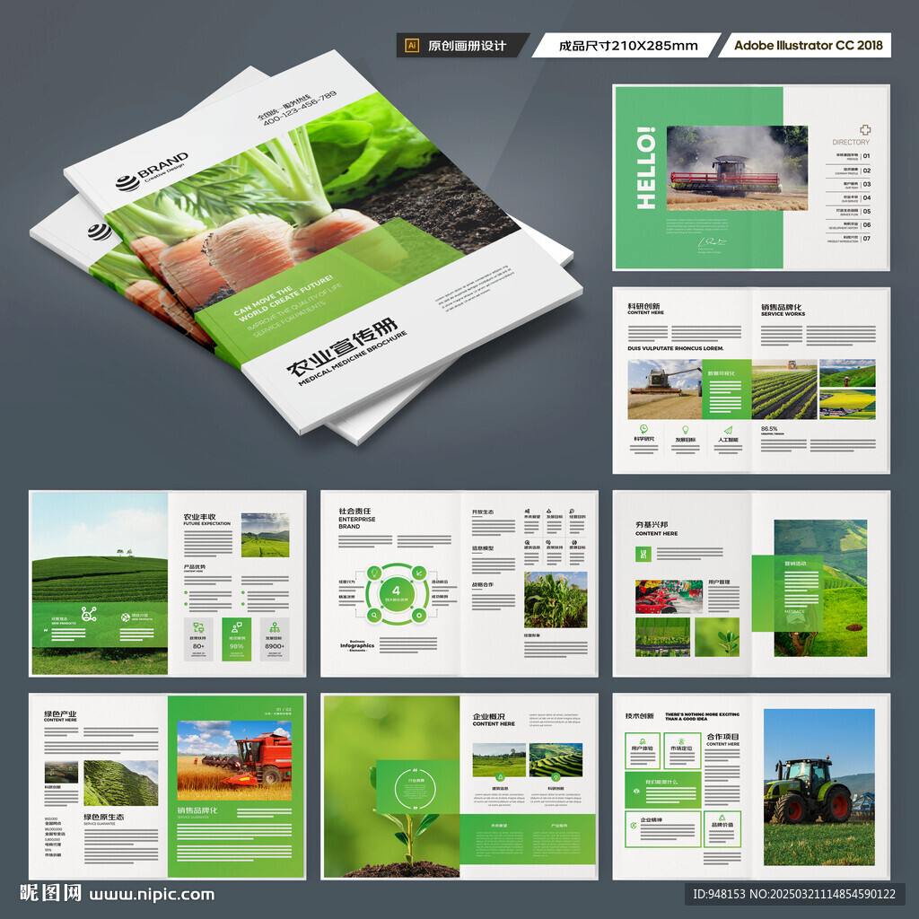 农产品宣传册