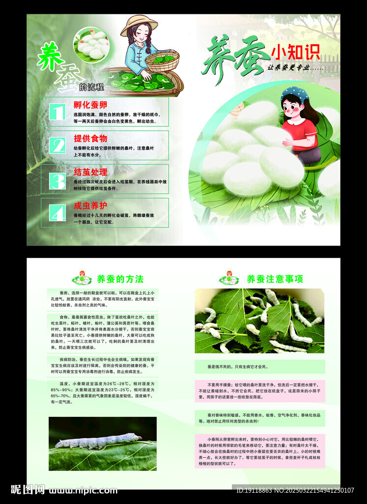 养蚕小知识