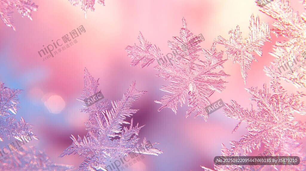 霜花玻璃窗