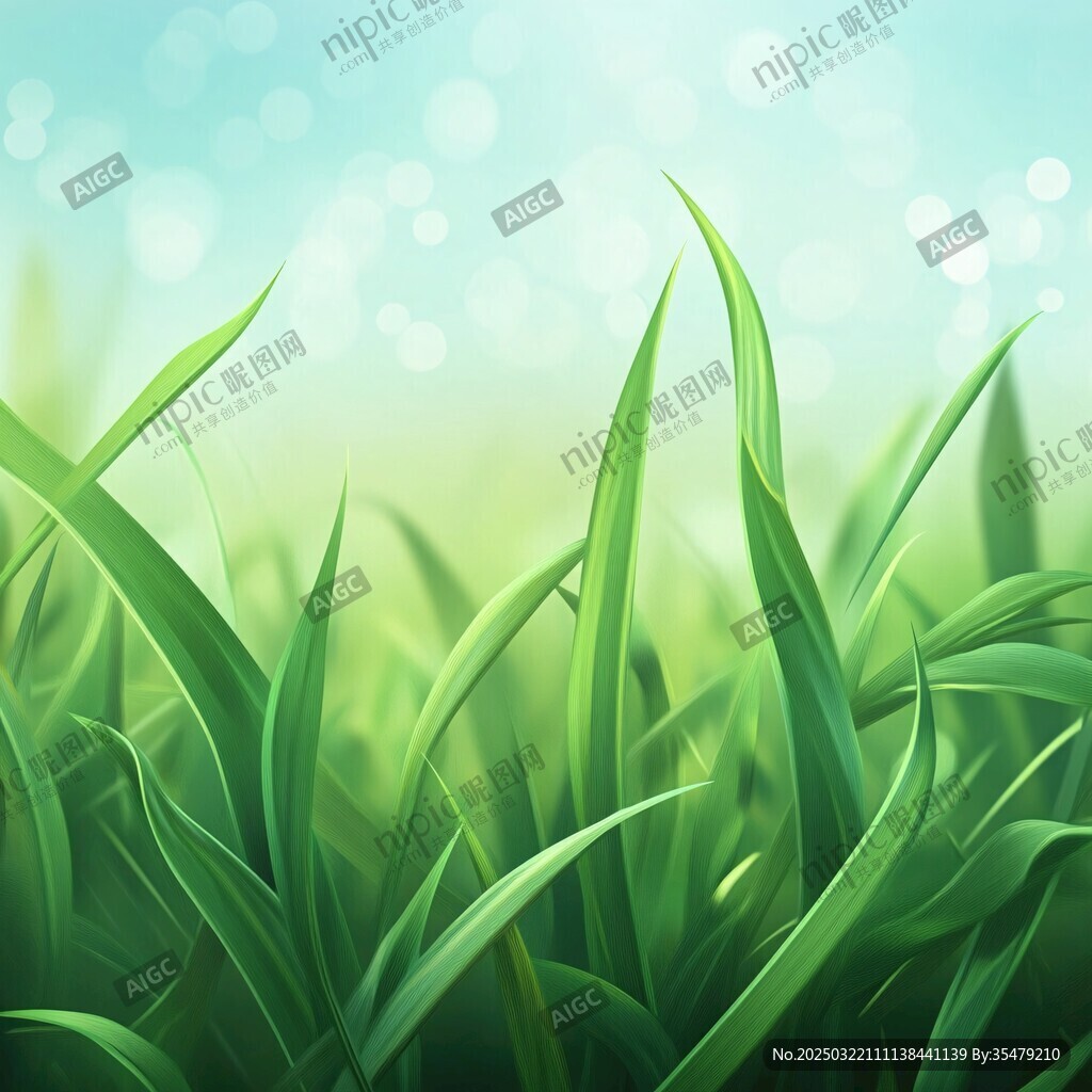 绿色草地 自然背景