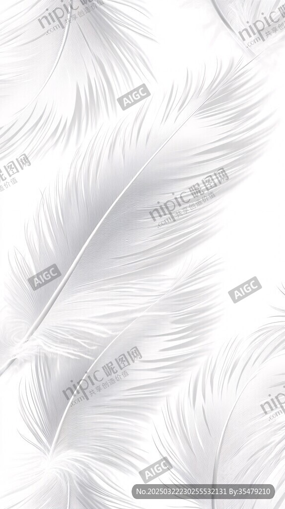 白羽之梦