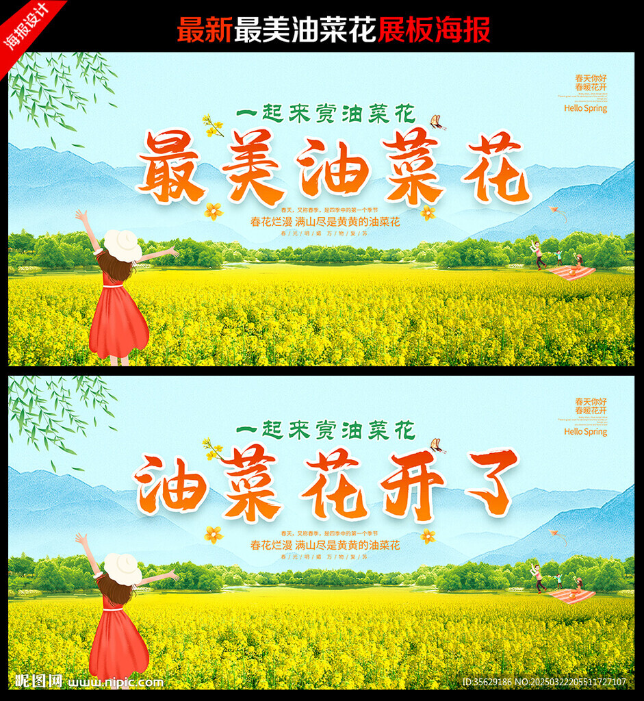 油菜花背景