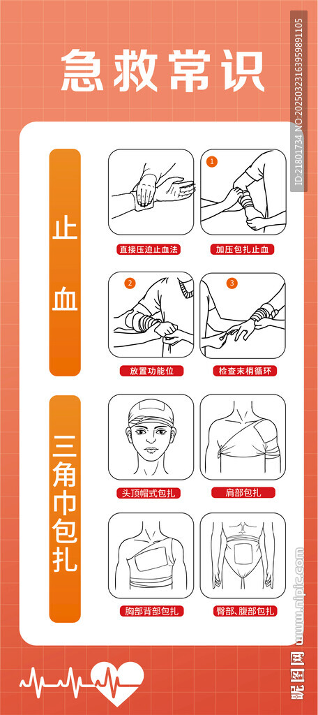急救止血包扎