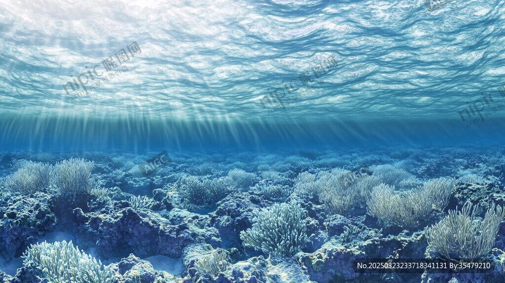 海底世界的宁静之美