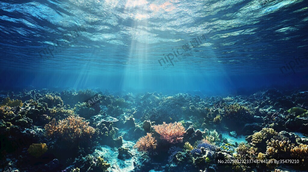 海底世界的阳光之旅