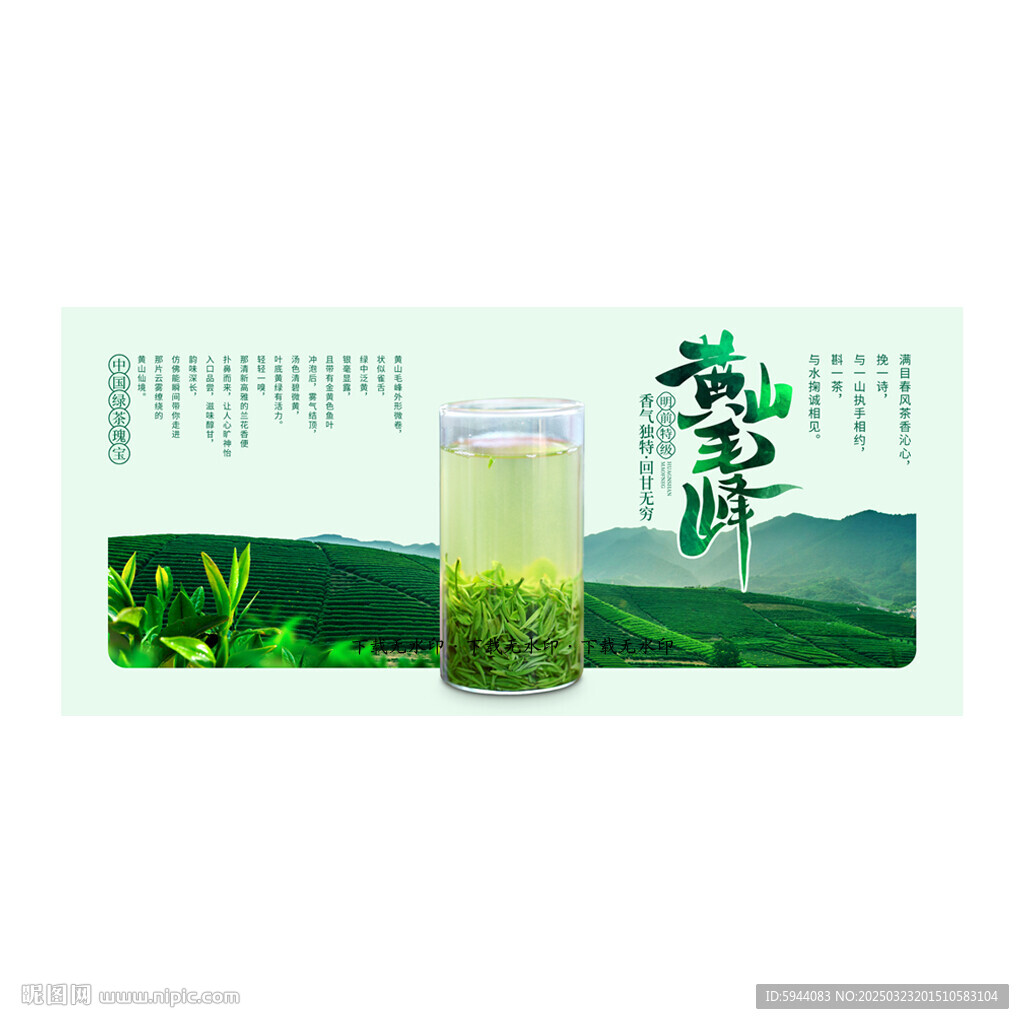 黄山毛峰