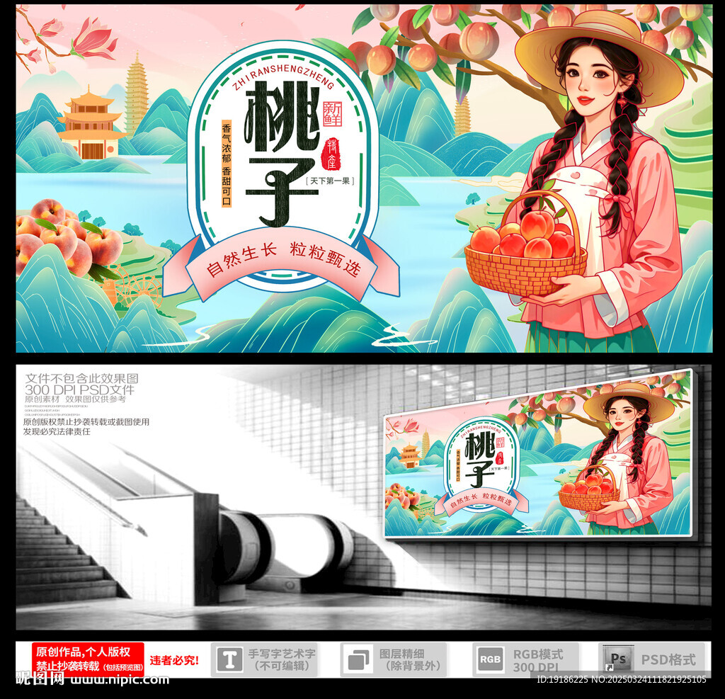 桃子包装插画