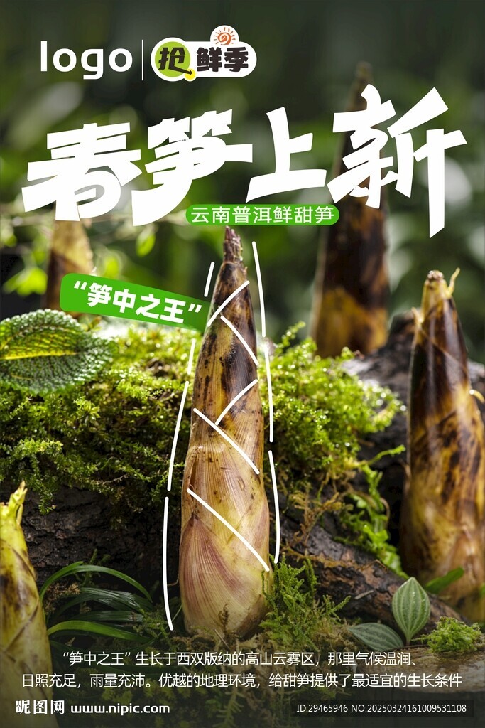 春笋上新