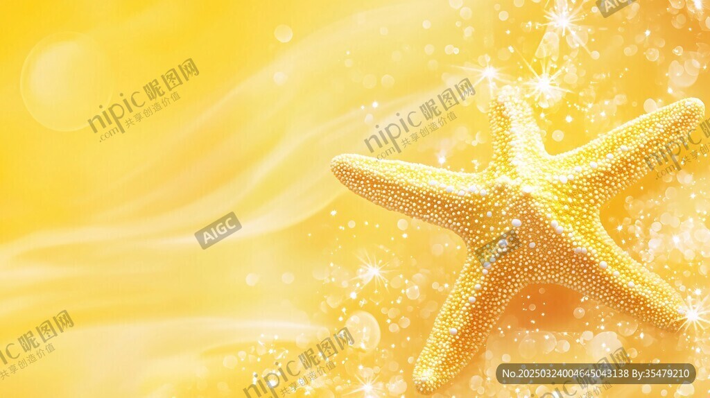 海洋之星的璀璨光芒