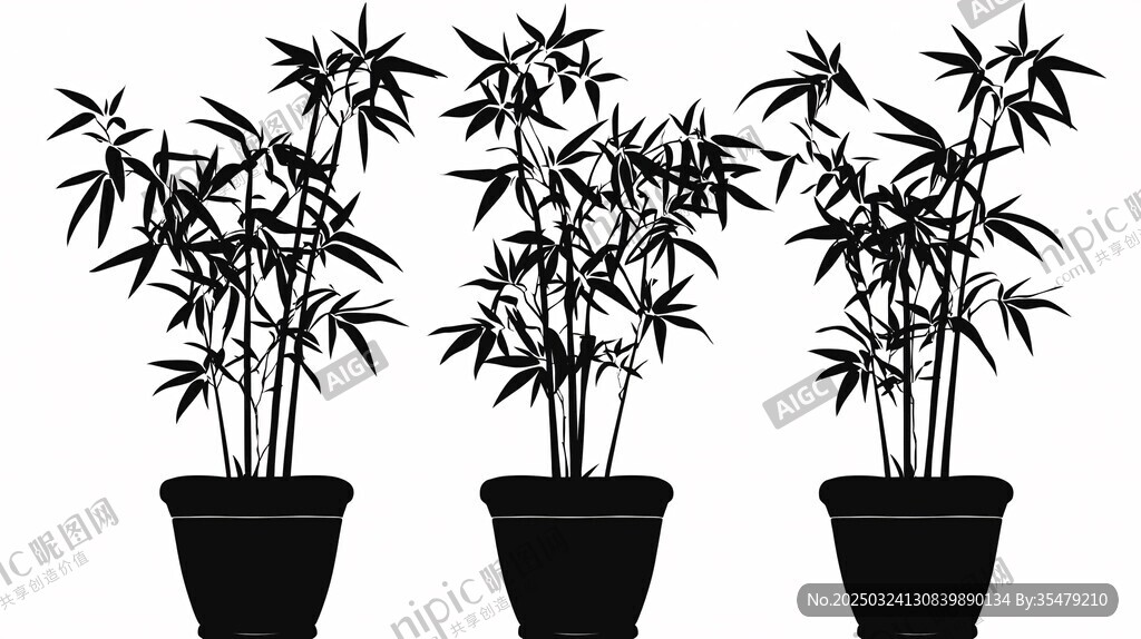 盆栽竹子剪影