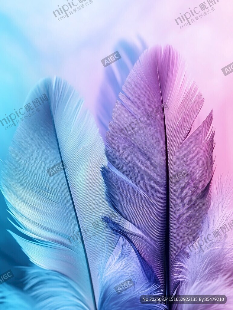 梦幻彩羽