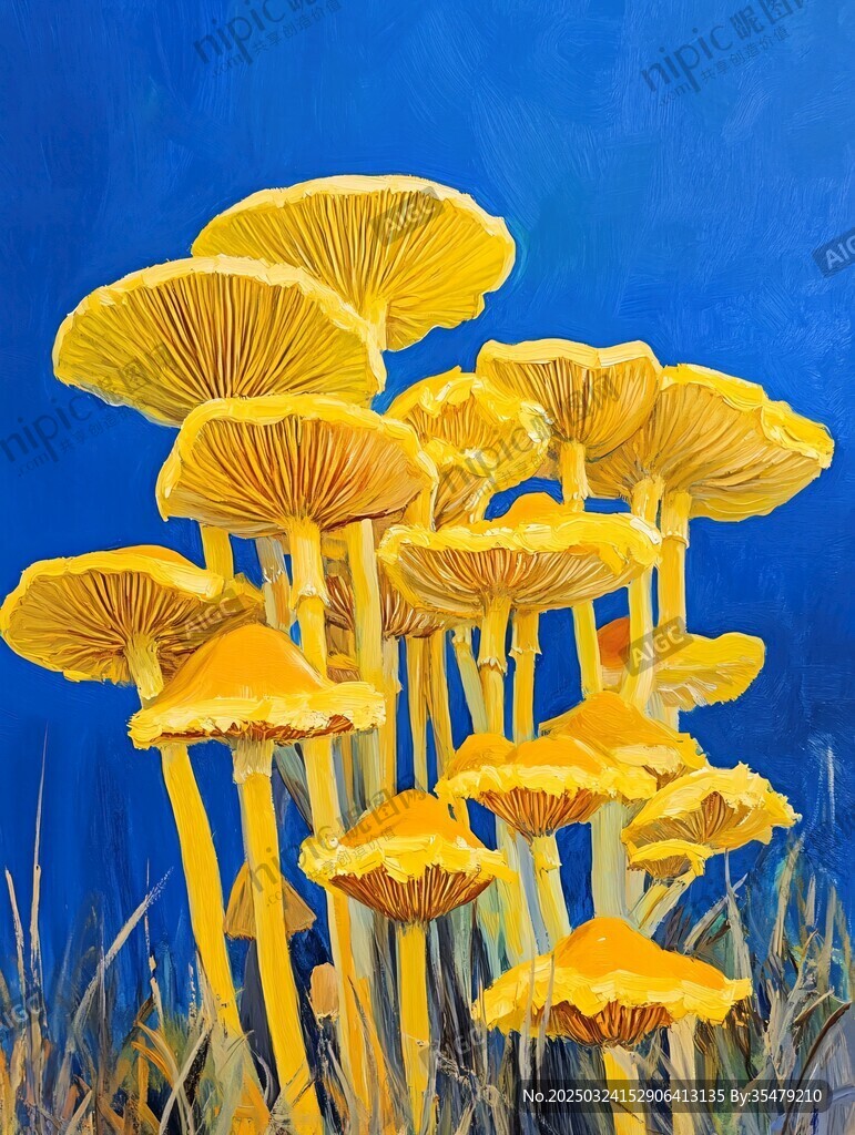 金黄蘑菇群立蓝色背景前