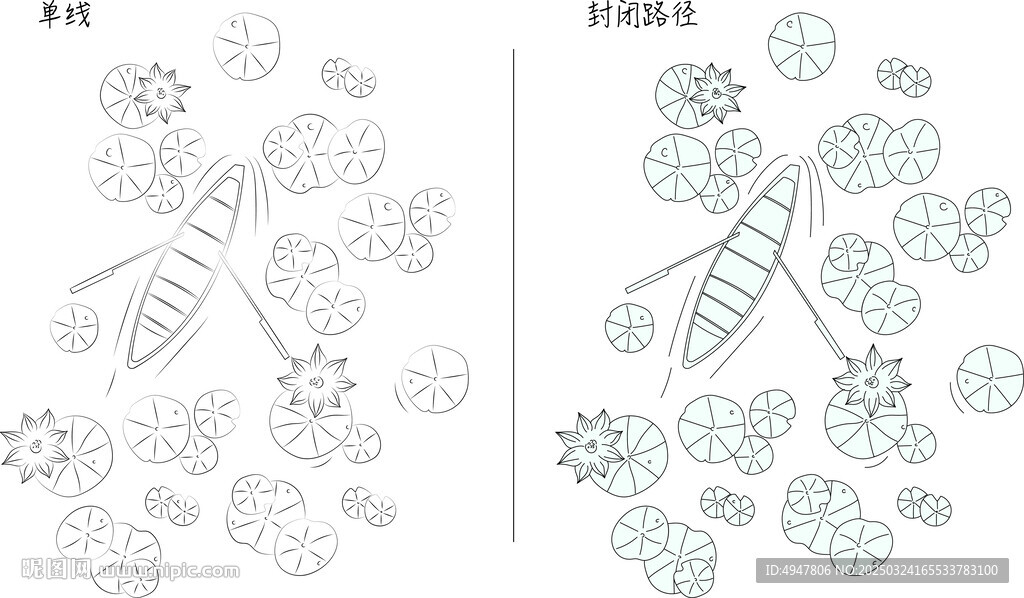 俯瞰荷花 矢量图