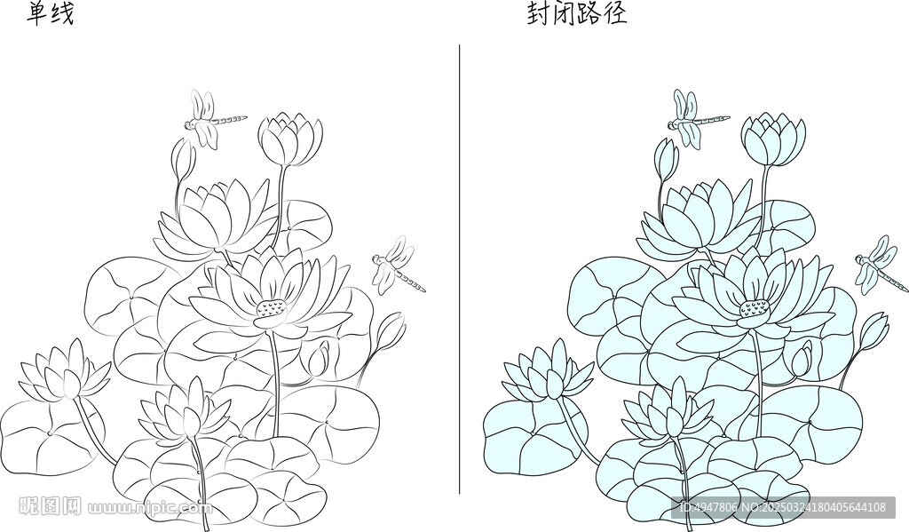 荷花蜻蜓 矢量图