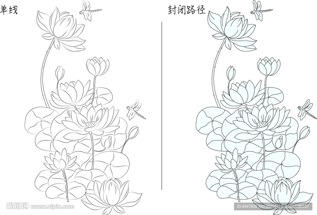 荷花蜻蜓 矢量图