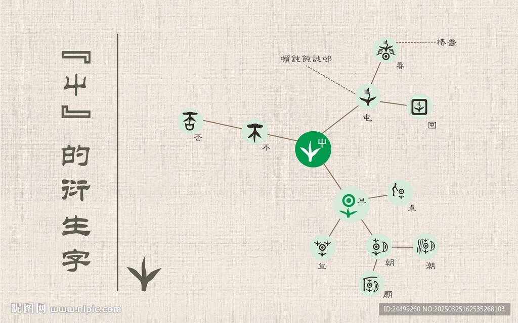 屮的衍生字