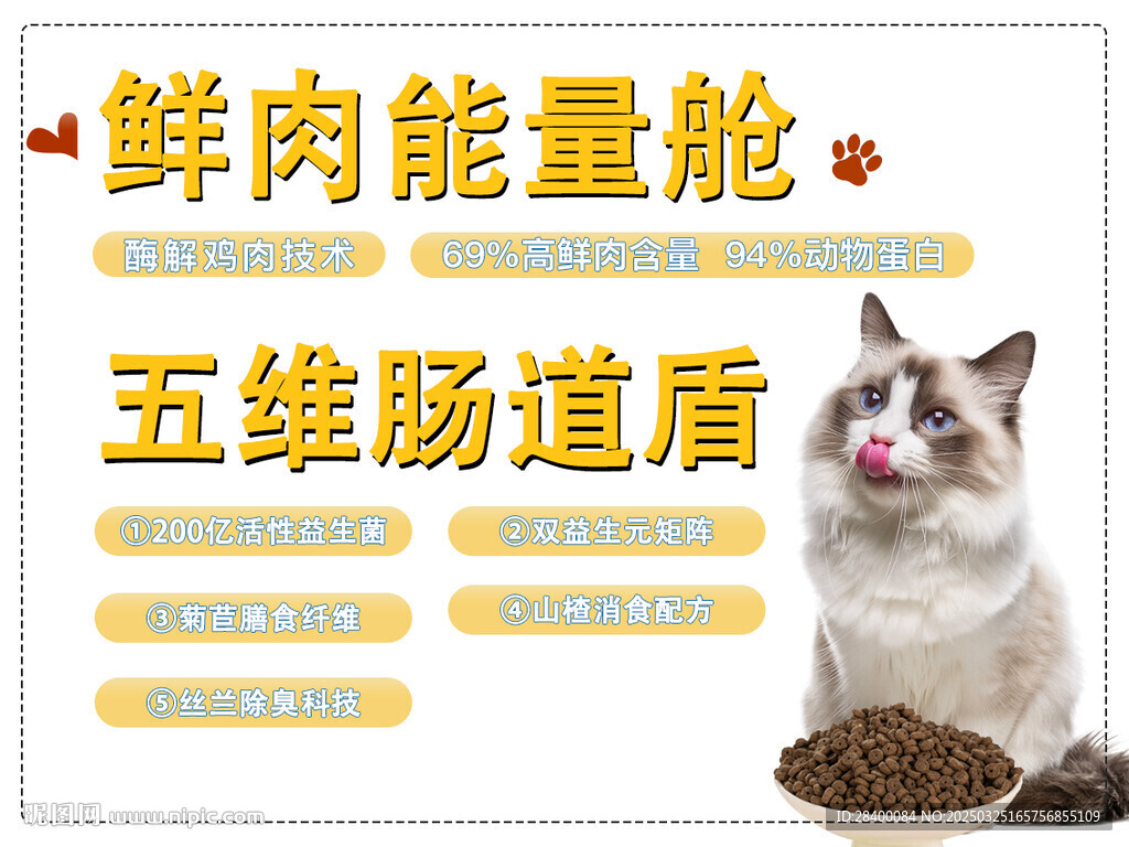 猫