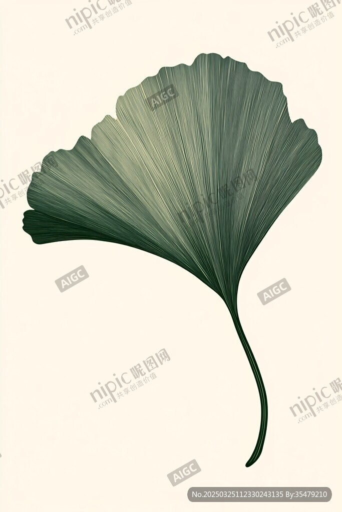银杏叶插画 清新自然风格