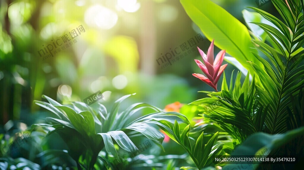 阳光照耀下的缤纷绿植