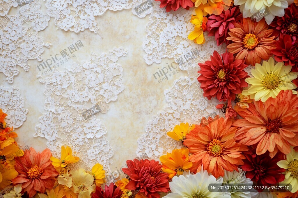 花边旁多彩菊花装饰图