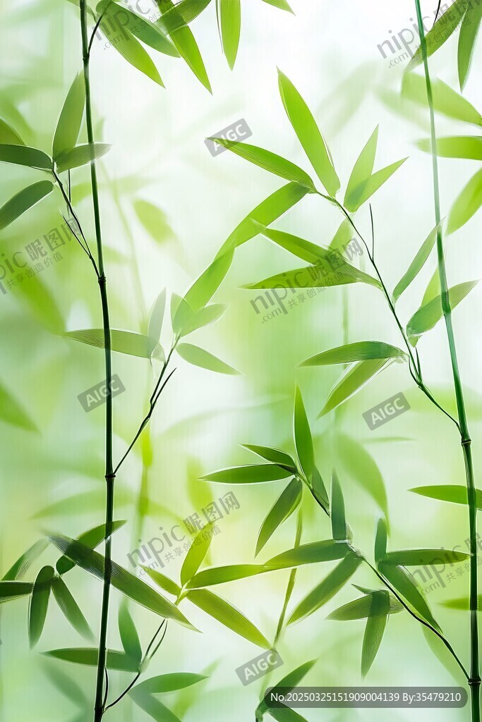 清新翠竹 绿意盎然