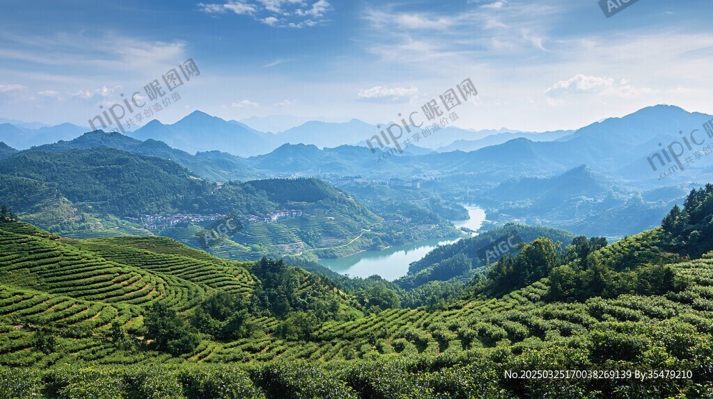 青山茶海间的秀丽山水风光