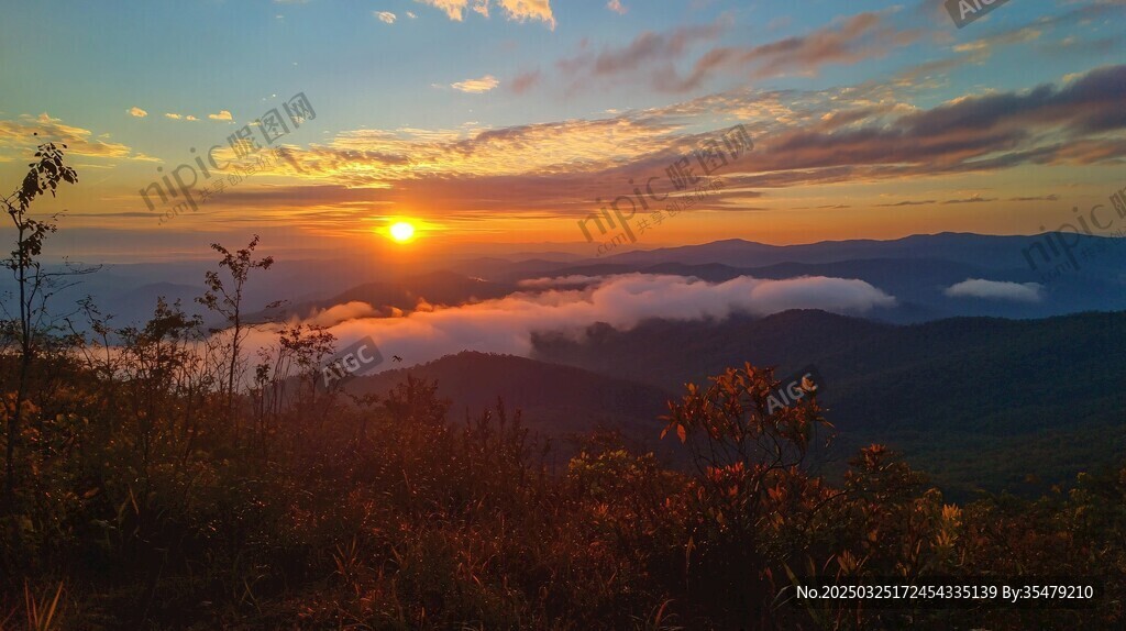 山间日出云海壮美景观