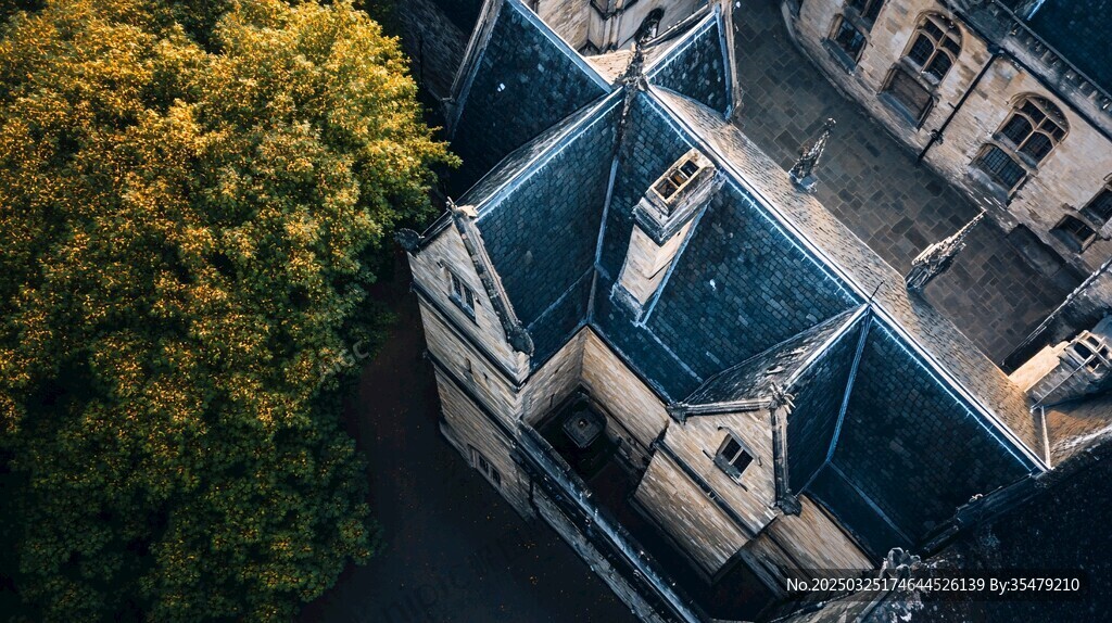 俯瞰古老建筑与葱郁树木