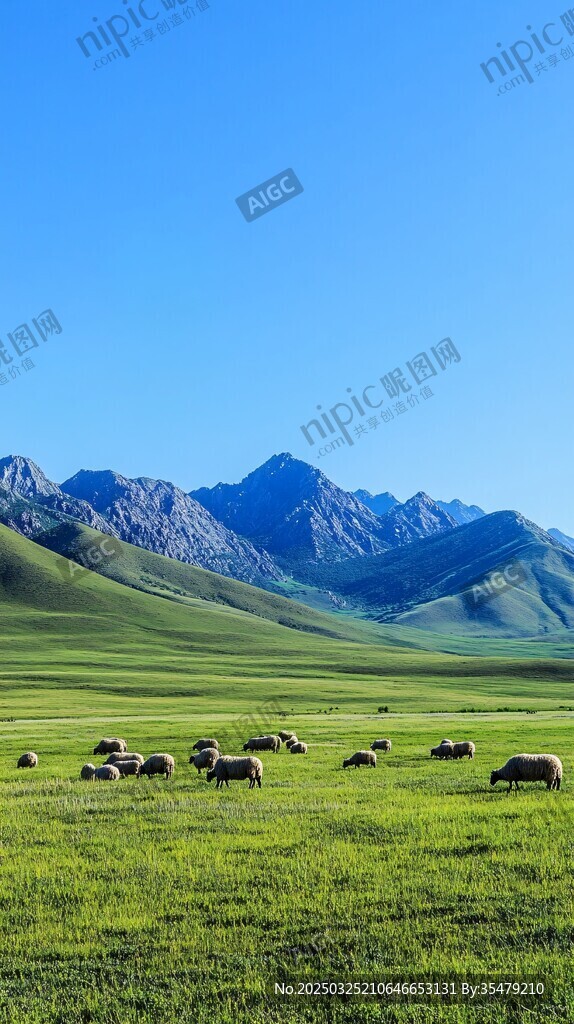 草原羊群与远山美景
