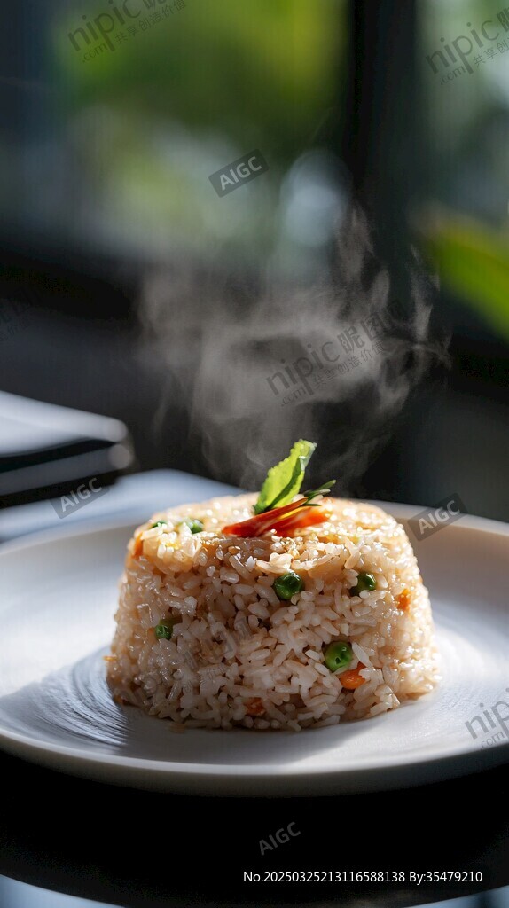 飘香美味炒饭 视觉味觉盛宴