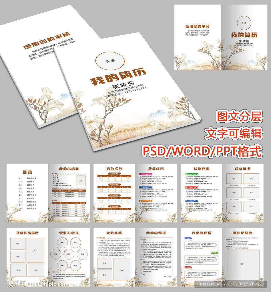 小升初儿童简历