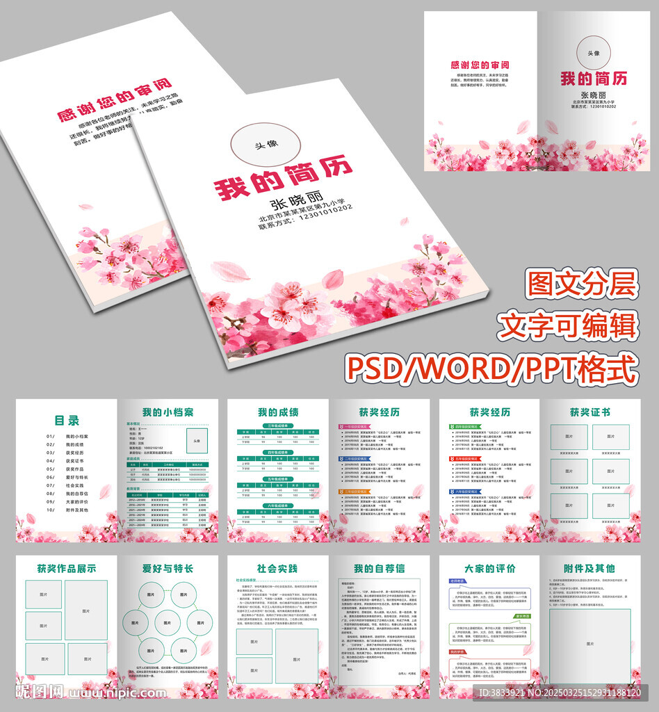 小升初儿童简历
