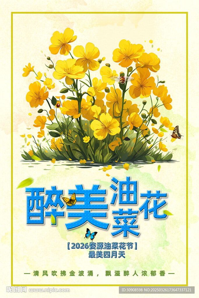 油菜花