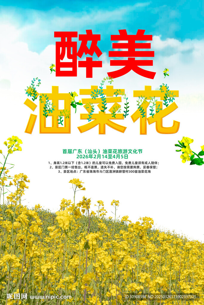 油菜花