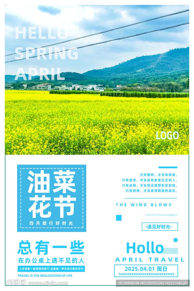 油菜花