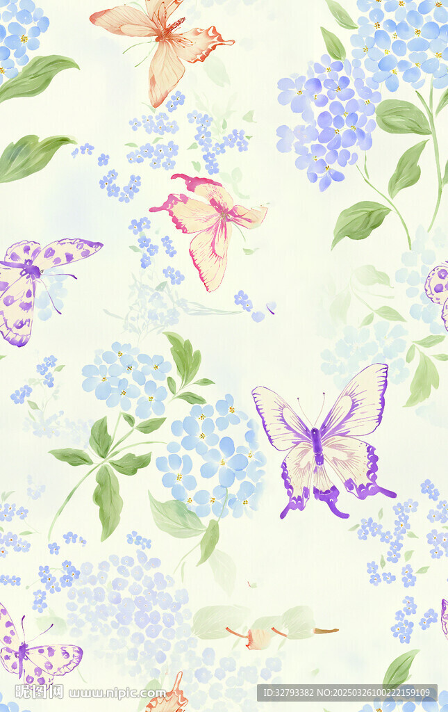 蝴蝶花
