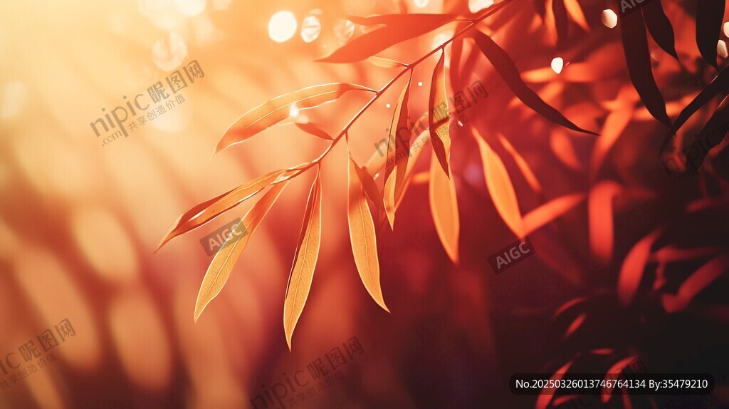 夕阳下的绯红竹叶