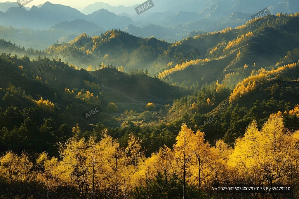 秋日山林晨曦美景