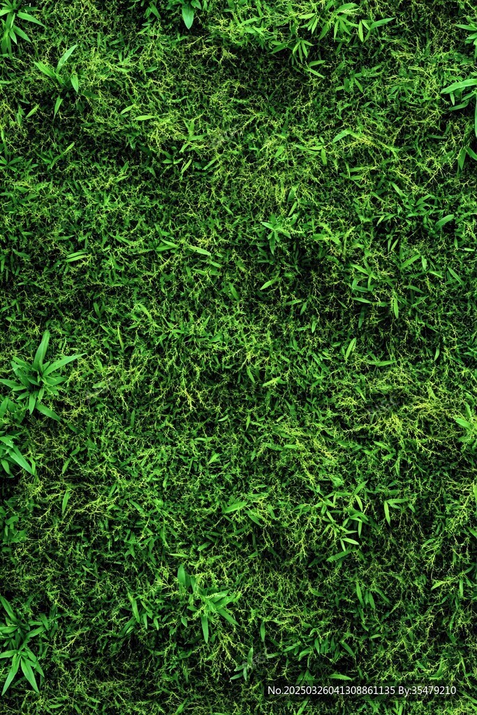 翠绿繁茂的青草植物背景
