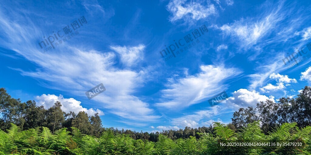 蓝天绿野 自然美景如画