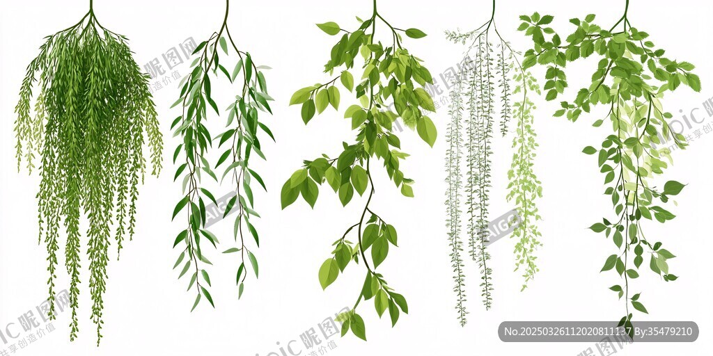 垂吊绿植集合