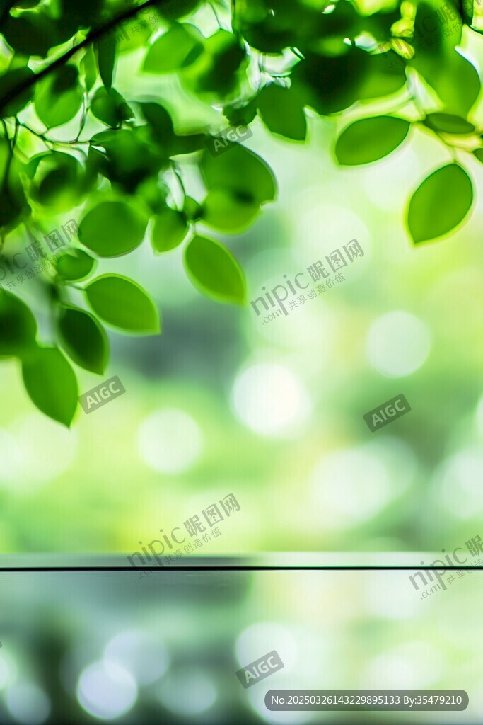 翠绿树叶映衬朦胧背景