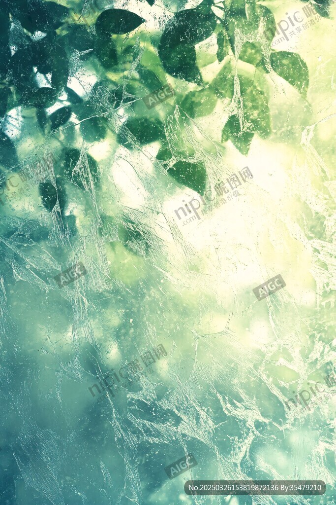 阳光透过绿叶的梦幻景象