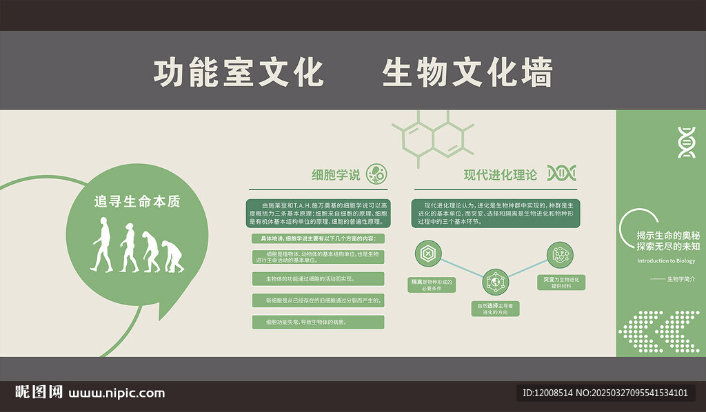 功能室生物文化墙