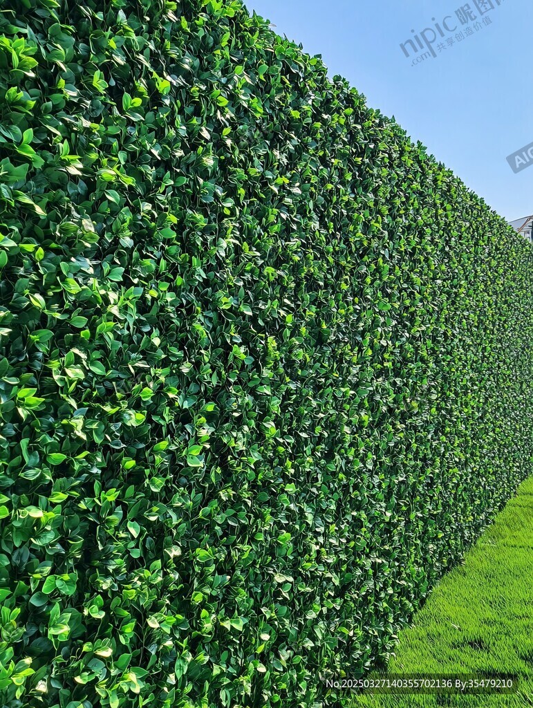 翠绿植物墙 生机盎然