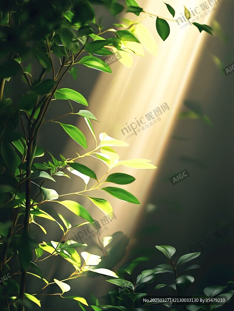 阳光透过绿叶的静谧瞬间